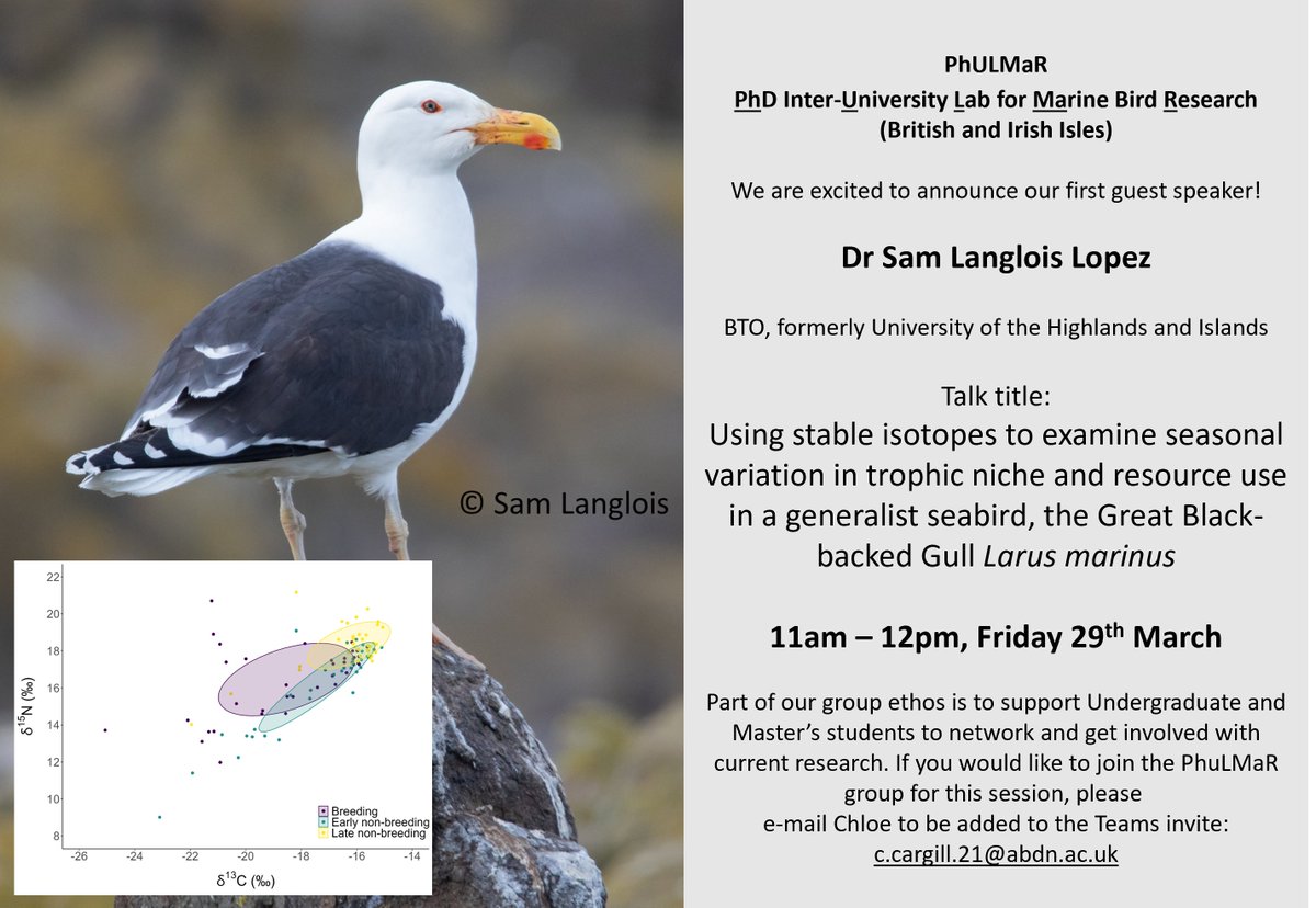 Specifically reaching out to #undergraduate and #Masters #students with an interest in #seabird #research. Come along to the PhULMaR group for 1hr to learn more about gull #stableisotopes, join the discussion and #network. Please RT!