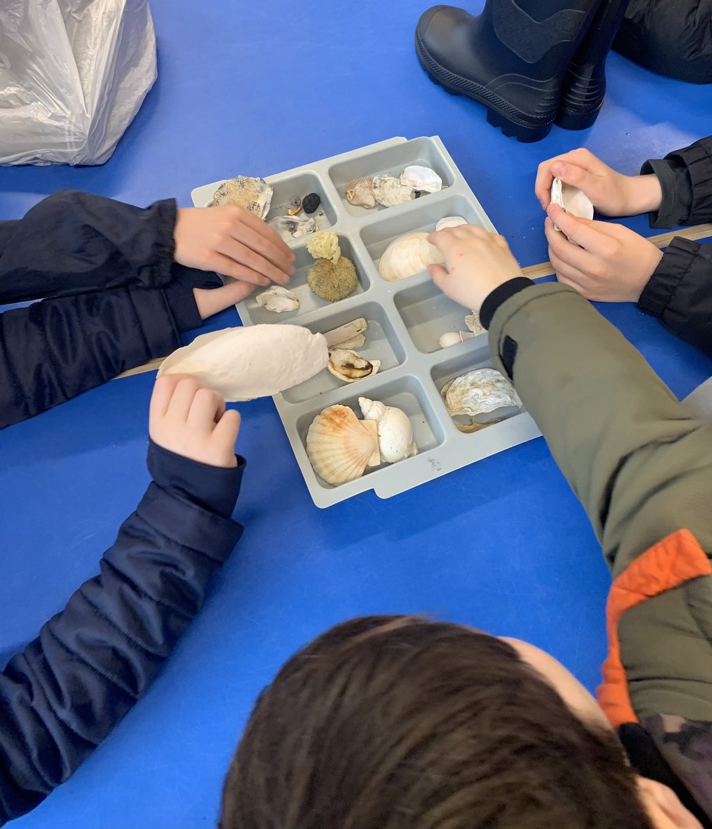 StPetersJunior's tweet photo. Two groups have taken part in Beach Bonanza this morning. They have scoured the beach for living organisms and have used keys to identify them. @CalshotActs #beachstudy https://t.co/g7njFDKuNj