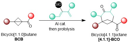 You probably know already bicyclo-hexanes and heptanes, but what about larger rigid bicyclo[4.1.1]octanes (BCOs)? Have a look at the new preprint of Stefano @ChemRxiv on the synthesis of BCOs via the annulation of bicyclobutanes and dienes!