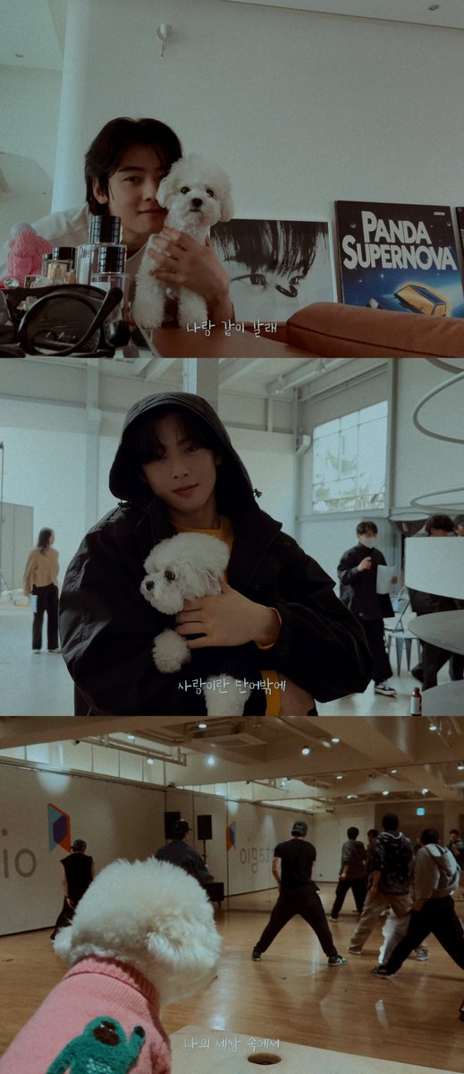 CHAEUNWOO_offcl's tweet photo. [#차은우] 차은우, 신곡 'You’re the best' MV 추��� 오픈..반려견 특별 출연
▶ https://t.co/A6wNiIfZga

#NEWS #CHAEUNWOO #아스트로 #ASTRO 
#ENTITY #Youre_the_best https://t.co/3FBle2cTNB