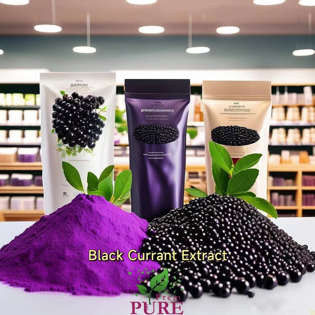 PremPureBio's tweet image. Introducing the Power of #BlackCurrant: Experience the Health Benefits of Black Currant Extract and Juice Powder!Are you looking for a natural ingredient that can boost your health and well-being? Check Black Currant Extract and Black Currant Juice Powder!#ribesnigrumL