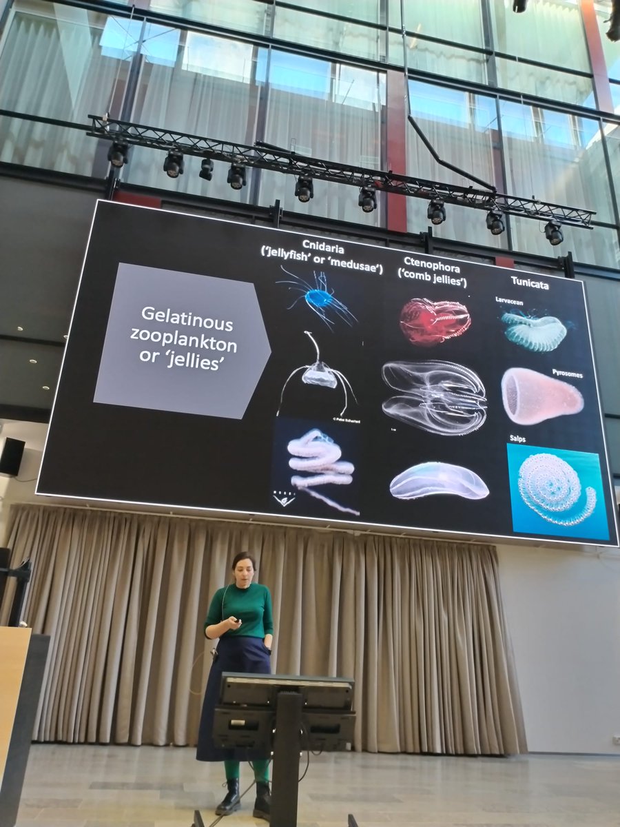 LUOVA Spring Symposium tweet media