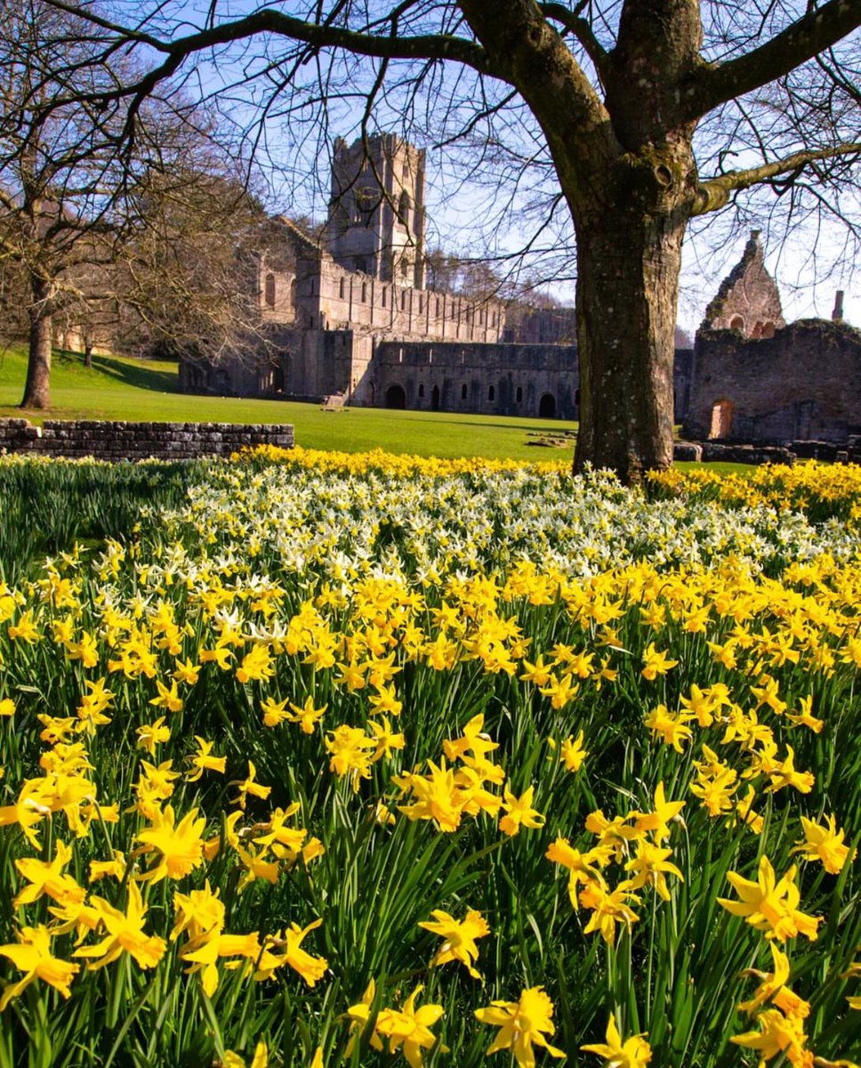 Good morning North Yorkshire 

📍Fountains Abbey 

📸 IG/yorkshire_brew
