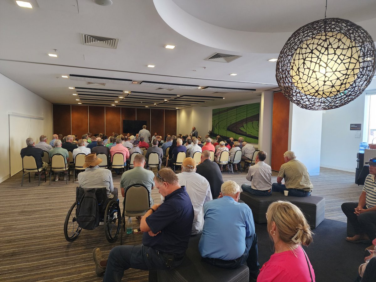 Great turn out of farmers in SA to talk about the #antiagriculture policies we are facing. Mainly #liveexport, but also #biosecuritylevy, #GTAP, #waterbuyback #transmissionlines #hydrogen

@RowanRamseyMP chaired with 4 other politicians. Over 100 attendees.