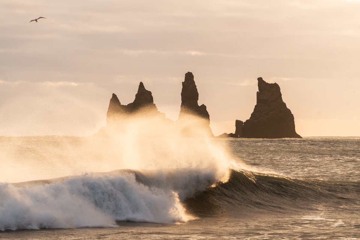 Un resumen de los increíbles paisajes y colores que hemos disfrutado esta pasada semana en Islandia.