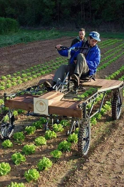DarioToffolon's tweet photo. macchine agricole NO – OIL
#Bicitractor di L'Atelier Paysan
#trattoristi https://t.co/mGgY6N57qL