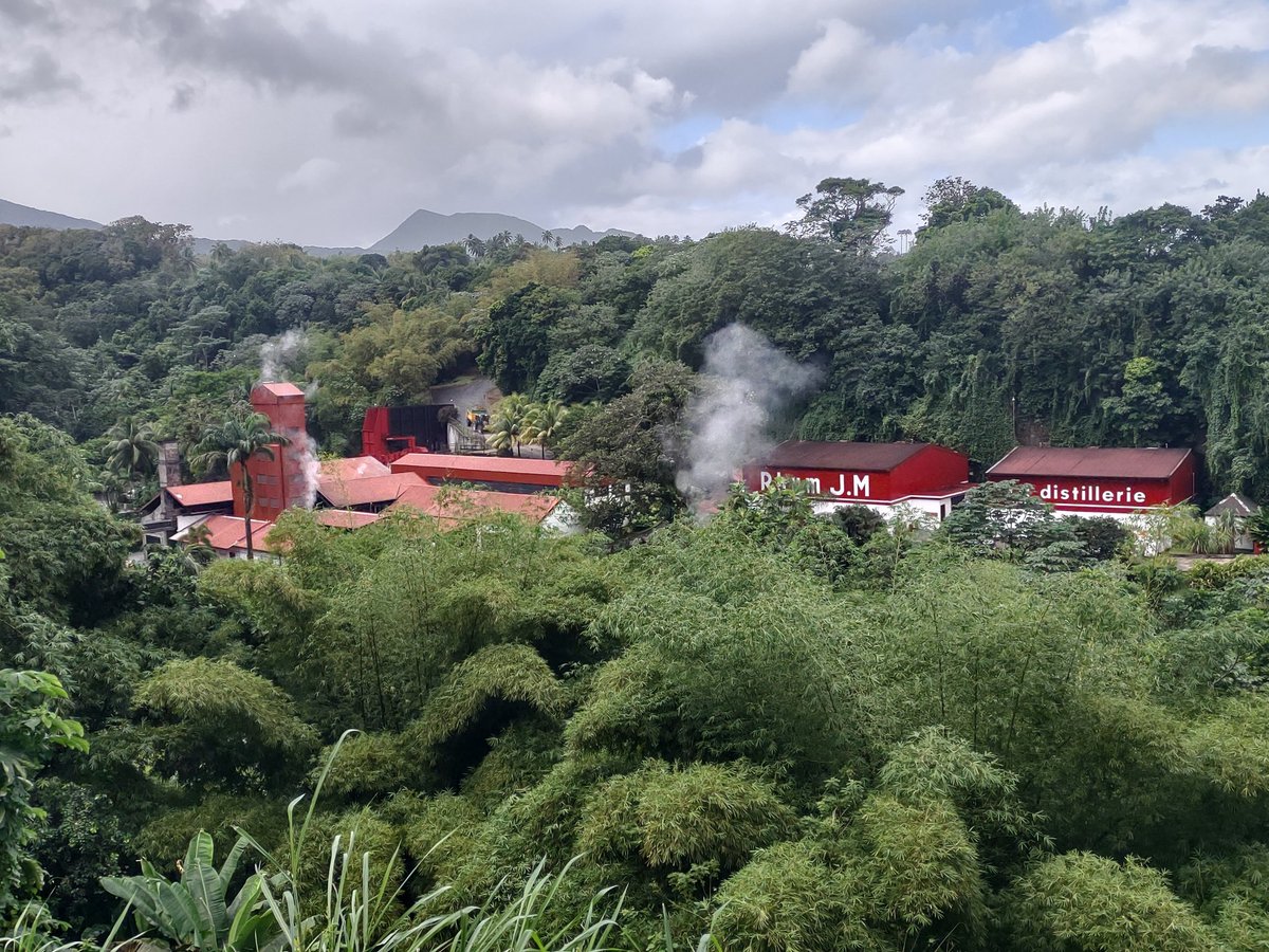 Distillery de Fond Preville. January 2024.