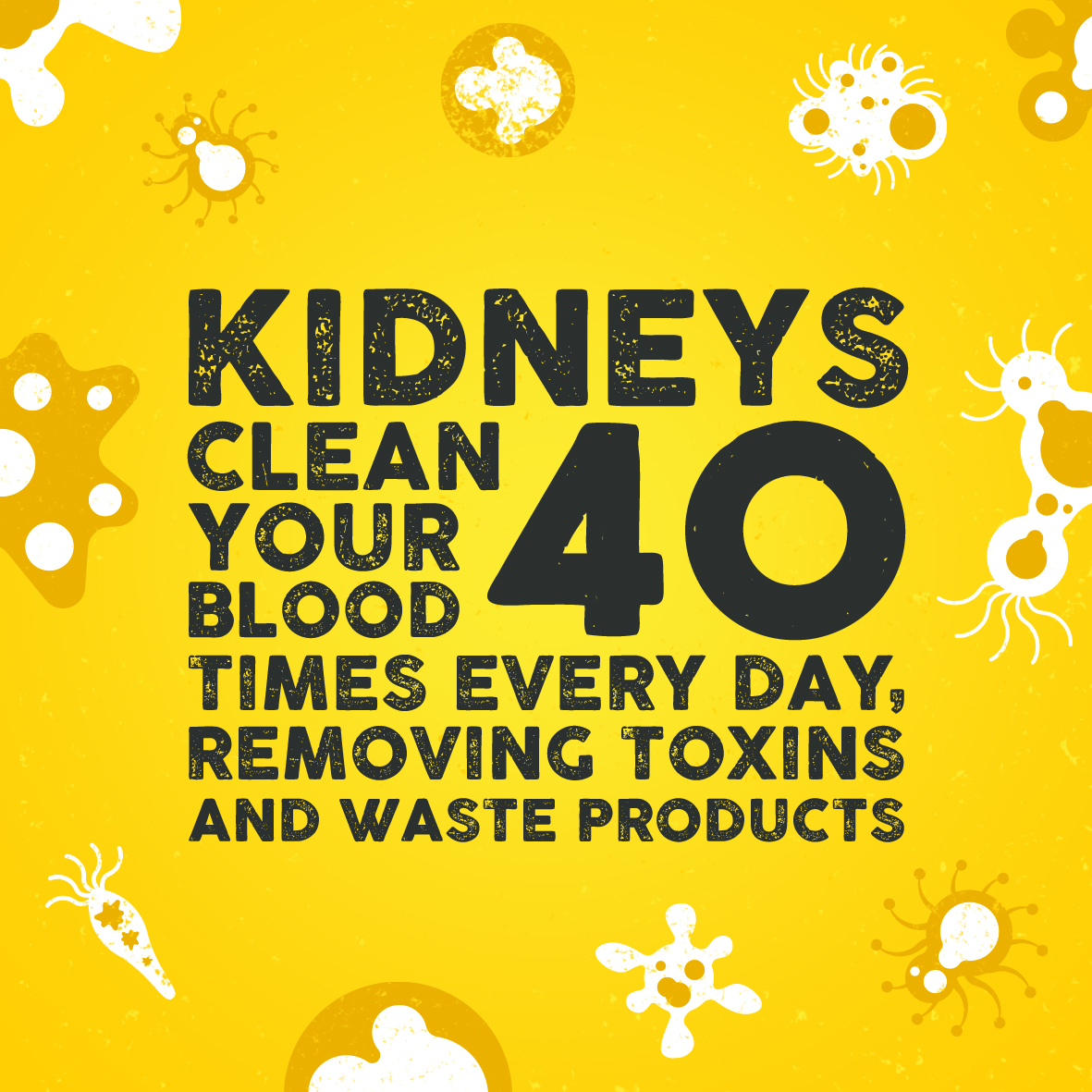 Our kidneys: the unsung heroes of our organs 🏆 But when neglected, things can go really wrong. 14 March is World Kidney Day. Help spread awareness of #kidneydisease by sharing this post. Learn more here 👉🏻 worldkidneyday.co.uk #KidneysMatter #WorldKidneyDay #MyKidneyHero