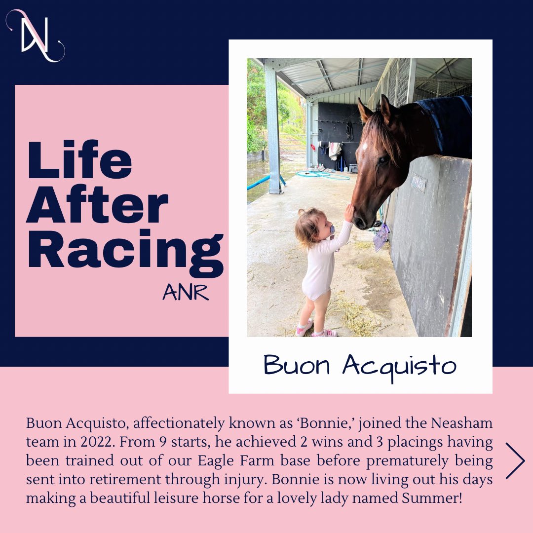 🔹Life After Racing🔹 We absolutely love receiving updates on our past stables mates and what their life now looks like after racing. One of our Queensland team’s favourite Buon Acquisto “Bonnie” seems to have a new fan! 💕 #lifeafterracing