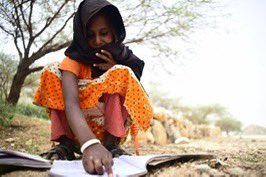 Did you know,  In #Eritrea, primary school is free &amp; compulsory, with a 5-year duration. The medium of instruction is the mother tongue. In 2021/22, 397,465 students were enrolled, 45.5% of whom were girls. #IWD2024 #hervoiceeritrea #SDG4 📚👧🏽👦🏽🇪🇷#EducationForAll #InvestInWomen :