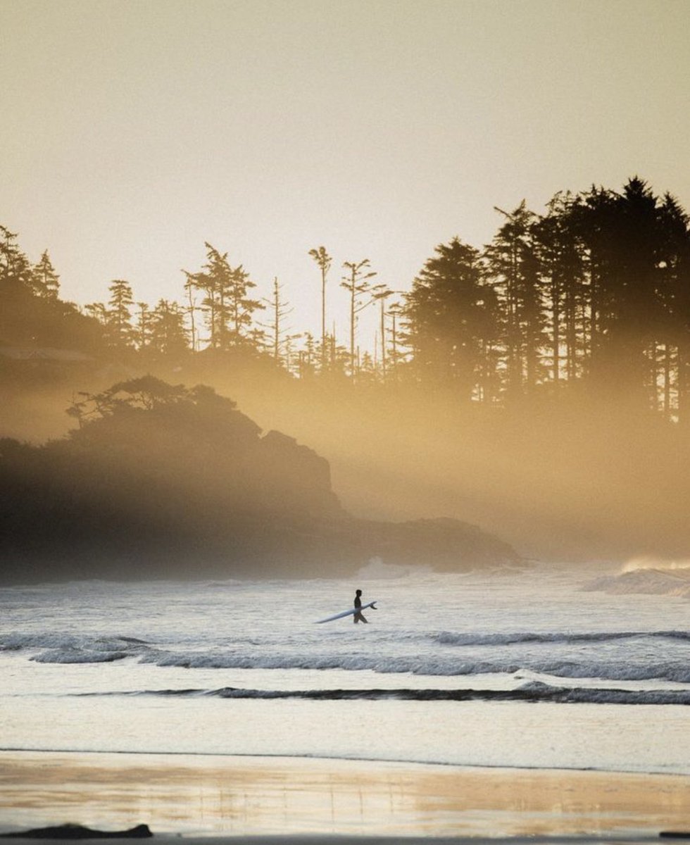 Paul Matthews tweet media