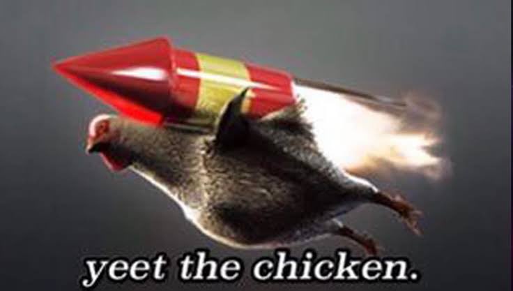 Why we need a wings to fly? If we only need a rocket to go to the moon!☄️

Cluck cluck cluck