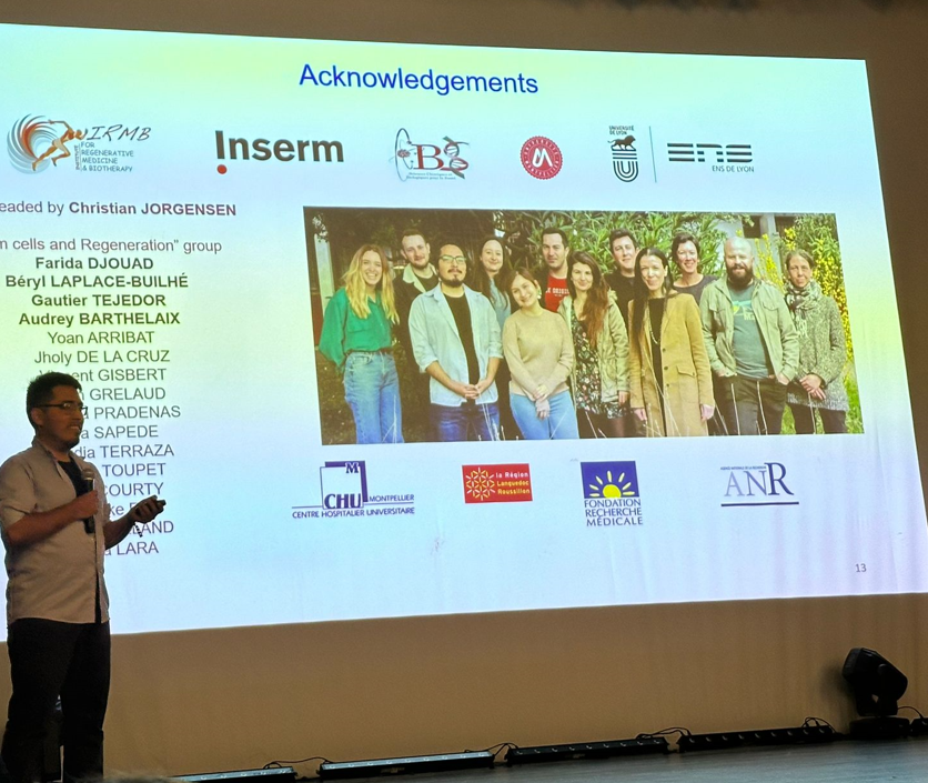 INeucrest's tweet photo. Next talk is delivered by Jholy De La Cruz (IRMB Montpellier, France) on the topic of “Neural crest cells role during mouse embryo limb bud regeneration” https://t.co/bovJCtveWL