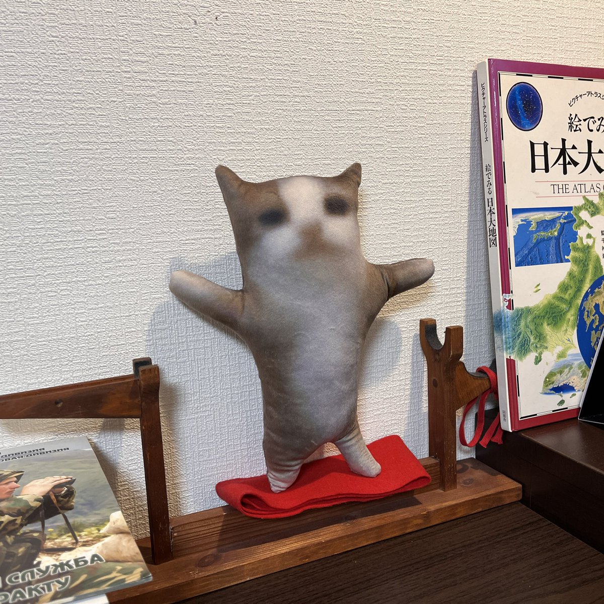 ハッピー猫きた！！！！！！！！！！！！
バケモン過ぎる！！！！！！！！れ！！！！！！！！！