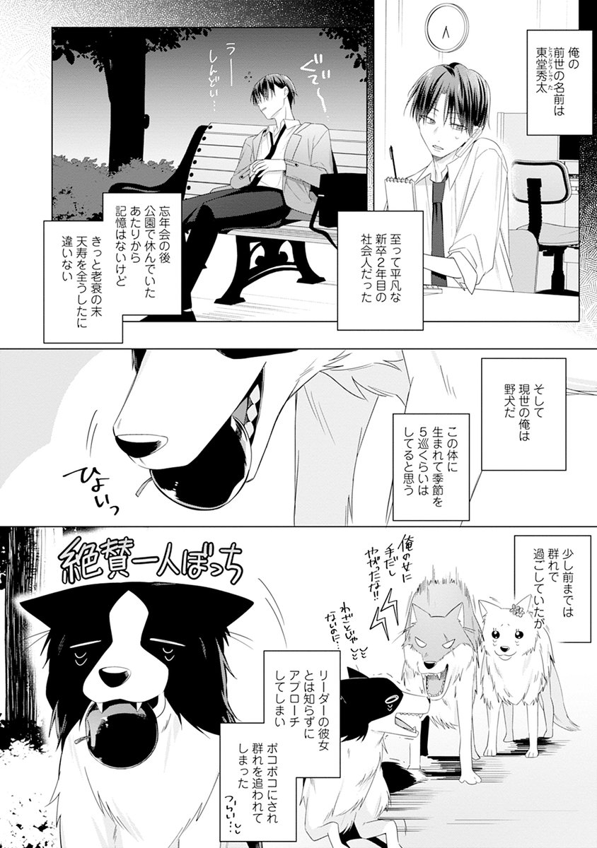 犬に転生した青年が王子にペットそして飼われる話
#創作BL #商業BL 