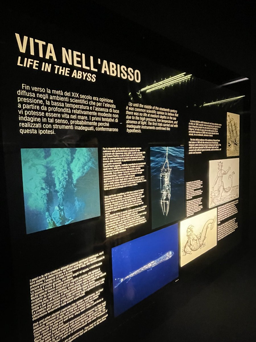 Dr Lisa Skein (@skein_lisa) on Twitter photo Great kick-off to the REDRESS (Restoration of deep-sea habitats to rebuild European Seas) project in Genoa last week!
<a href="/HorizonEU/">Horizon Europe 🇪🇺</a>
<a href="/NOCnews/">National Oceanography Centre</a> Great kick-off to the REDRESS (Restoration of deep-sea habitats to rebuild European Seas) project in Genoa last week!
<a href="/HorizonEU/">Horizon Europe 🇪🇺</a>
<a href="/NOCnews/">National Oceanography Centre</a>
