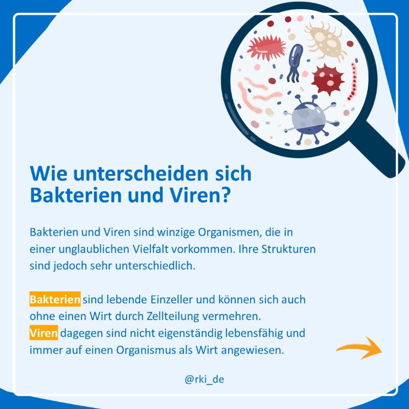 rki_de's tweet photo. Bei der Entwicklung von Medikamenten und Impfstoffen ist der Unterschied zwischen #Bakterien und #Viren wesentlich. Davon hängt auch die Behandlung von #Infektionskrankheiten ab.

In unserer Reihe #WasIstEigentlich geht es um den Aufbau und die Vermehrung der beiden Organismen.⬇️