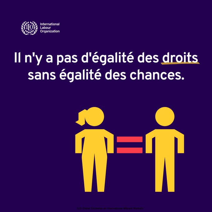 🔷 Quand les #femmes réussissent dans le monde professionnel, c'est toute la société qui en bénéficie. 🔺 L'@OITinfo met en lumière l'importance ↗️ de l'égalité des genres pour stimuler la croissance économique. ➡️ INFOS: buff.ly/3LIu8Oe #ODD5 #InvestirDansLesFemmes