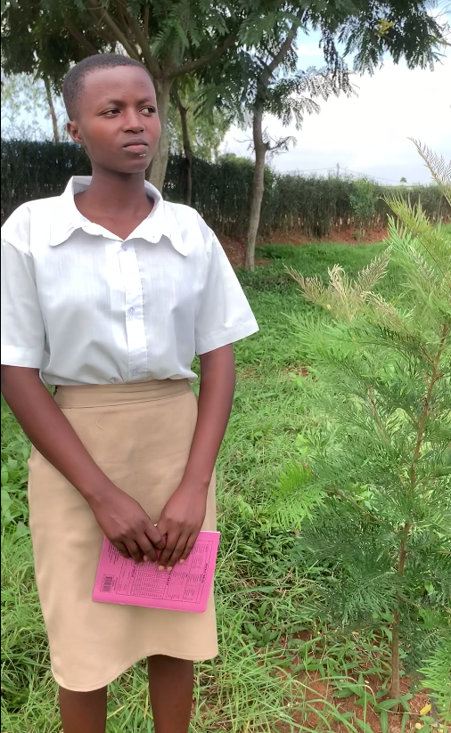 Thrilled to have carried out the learning and post-evaluation activity to assess the level of knowledge and trees survival rate in @Rutonde,  grateful for our partners for a more climate-resilient communities in Rwanda, #trees #greenschool #climateresilientcommunities