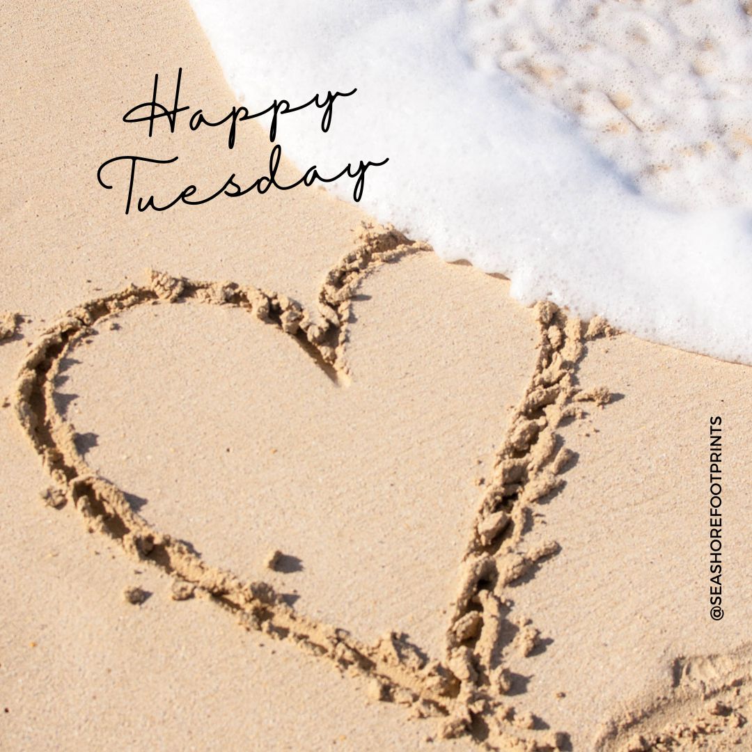 Katrinashells's tweet photo. Happy Tuesday, everyone! 🌟 

Let's kickstart this day with positivity and purpose! 

#TuesdayMotivation #PositiveVibes #MakeItCount #HandmadeChic #jewellerydesigner #jewellerymaking #jewellerystore #jewellerylover #handmadejewelry #tuesday #TuesdayThoughts #tuesdayvibe #tuesdays https://t.co/agZrgmiHTB