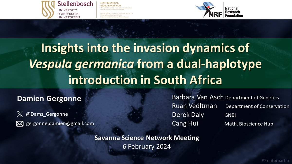 I'll be presenting my project on invasive wasps tomorrow (Wednesday 7) at 2:05pm. 😬🐝 @SANParks @SANParksKNP #SSNM2024 @StellenboschUni @MatiesResearch Link: youtube.com/@savannascienc…