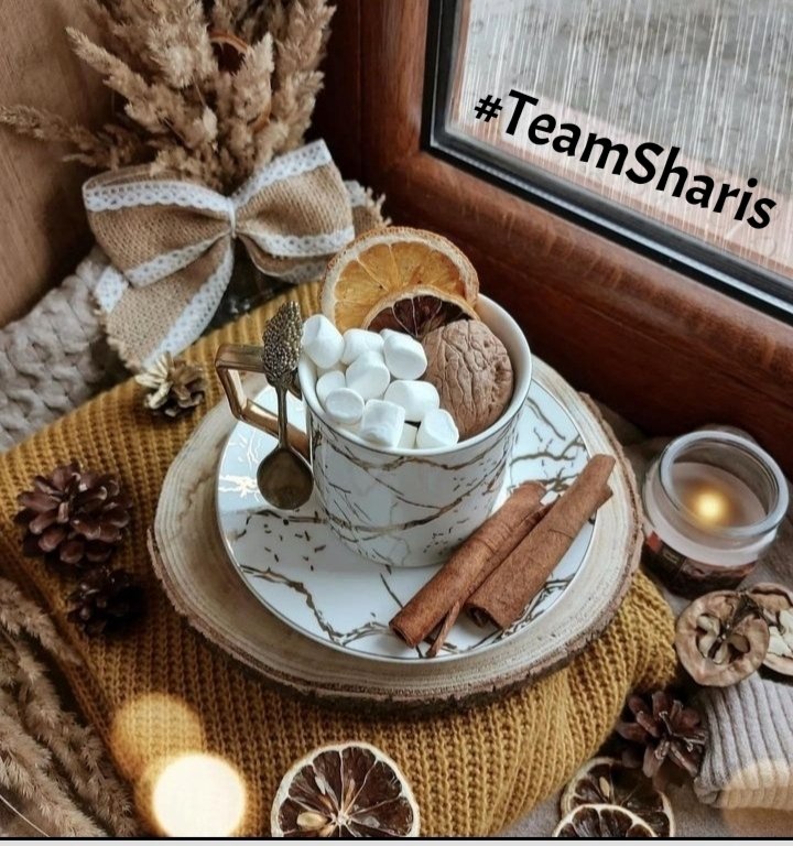 _▄▄_ 
(●_●)═☞#TeamSharis🌺 
╚═☞@SharisLind💙 
╰➤ ✯@MariposaAdriQba 
╰➤ ✯@MarcelaErcia 
╰➤ ✯@fernandoreyesy 
╰➤ ✯@Eli_MH95 
╰➤ ✯@yeseniagonzal54 
╰➤ ✯@Mariano03876298 
╰➤ ✯@didierpatience
╰➤ ✯@nazzozz
╰➤ ✯@juanchavez387_
╰➤ ✯@Meniomey77