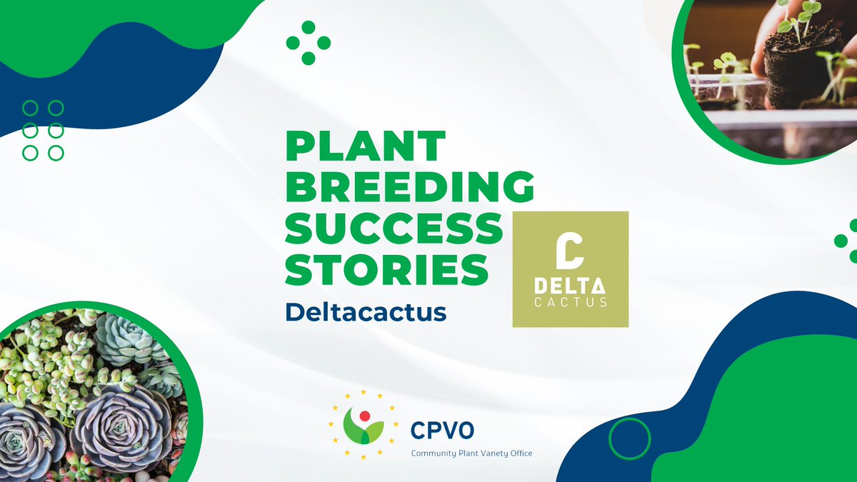 Spotlight on Sustainable Plant Breeding! 📰 In our latest article, we chat with Javier from Deltacactus about: 🌍 Their actions to combat climate change 🌱 The importance of genetic diversity 💭 Corporate social responsibility Read the full article here: cpvo.europa.eu/en/news-and-ev…