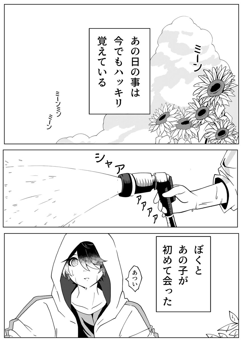 ポケモンのいない世界にポケモンが現れた不思議な夏の出来事☀️ | こ