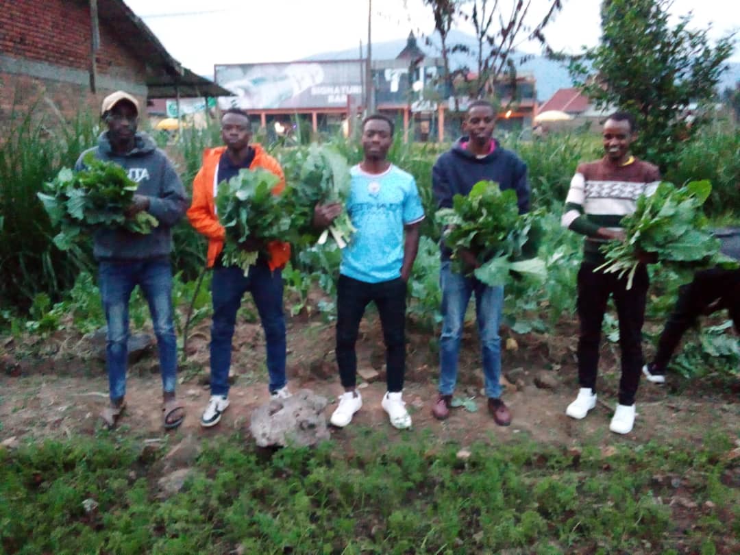 Yesterday evening was delightful at our #CSAModelfarm kitchen garden, where we enjoyed the bounty of #vegetables. We are eager to continue producing our nutritious food and hope our club members will adopt this practice in their residential areas.#betterNutrition #youthInAction