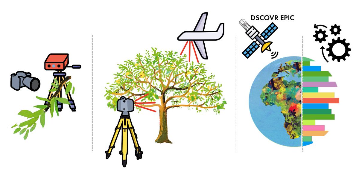 Jan Pisek (@jan_pisek) on Twitter photo Please RT. Come join me - I offer a fully funded #PhD position on a nice, exciting topic – retrieval of leaf angle info with multi-angle #remotesensing. 🇪🇪 <a href="/unitartu/">University of Tartu</a> @tartuobs. International candidates welcome! Apply by 20 March 2024, full details here: tinyurl.com/y448a4pa Please RT. Come join me - I offer a fully funded #PhD position on a nice, exciting topic – retrieval of leaf angle info with multi-angle #remotesensing. 🇪🇪 <a href="/unitartu/">University of Tartu</a> @tartuobs. International candidates welcome! Apply by 20 March 2024, full details here: tinyurl.com/y448a4pa