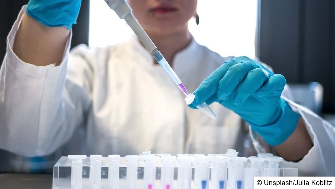 We are happy to announce that our #3R project InSilify DrugTox, which aims to reduce and replace animal studies, just started!  
#pharminfo #computational #toxicology #modelling #insilico #drugdevelopment

pharminfo.univie.ac.at/news-archive/d…