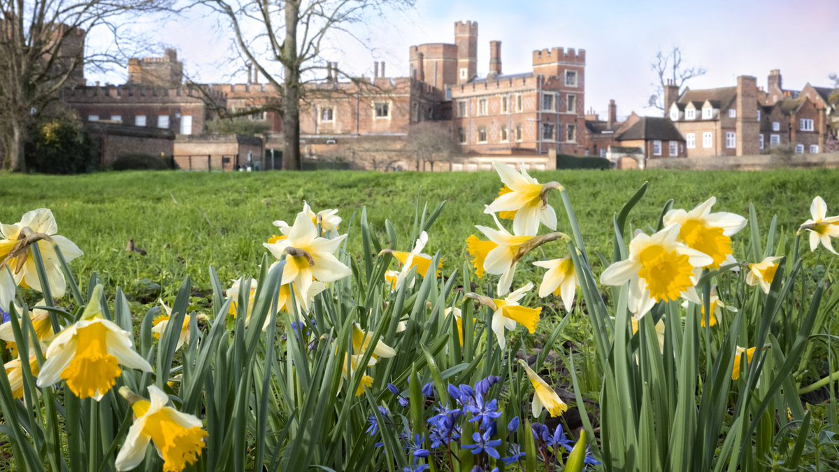 🌻Early signs of #Spring on College Field