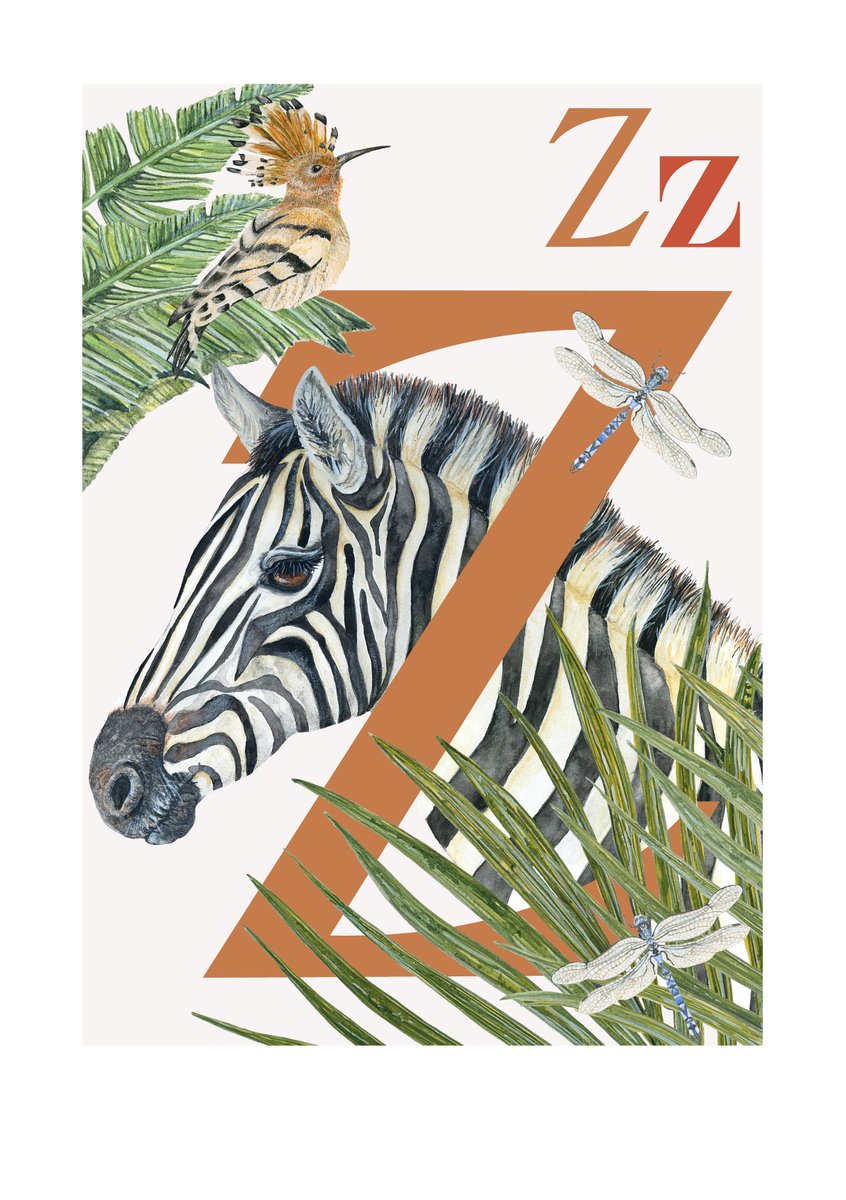 Z is for Zebra

Zebras have individual patterns as unique as snowflake’s &amp; human finger prints.

Most predators are colourblind, when zebras stand together their stripes create the illusion of grass.

Their stripes act as bug repellent &amp;
Scientists also believe acts as sunscreen.