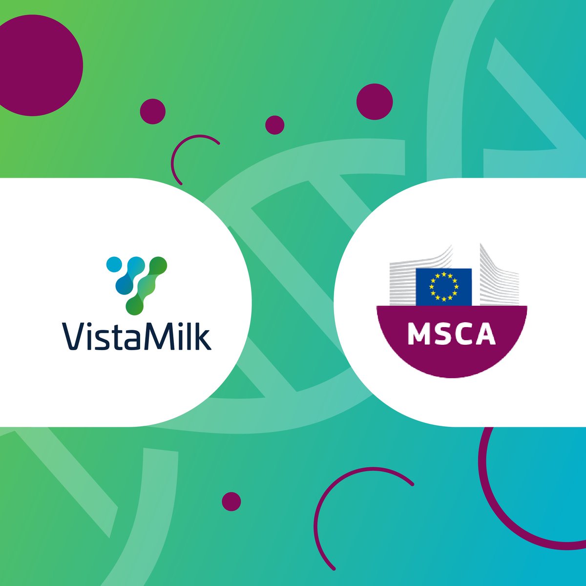 Embark on a transformative research journey with VistaMilk SFI Research Centre. 🚀 We're on the lookout for postdocs to join us in pushing boundaries with the Marie Skłodowska-Curie Actions Postdoctoral Fellowships 2024 funding call. vistamilk.ie #postdoc