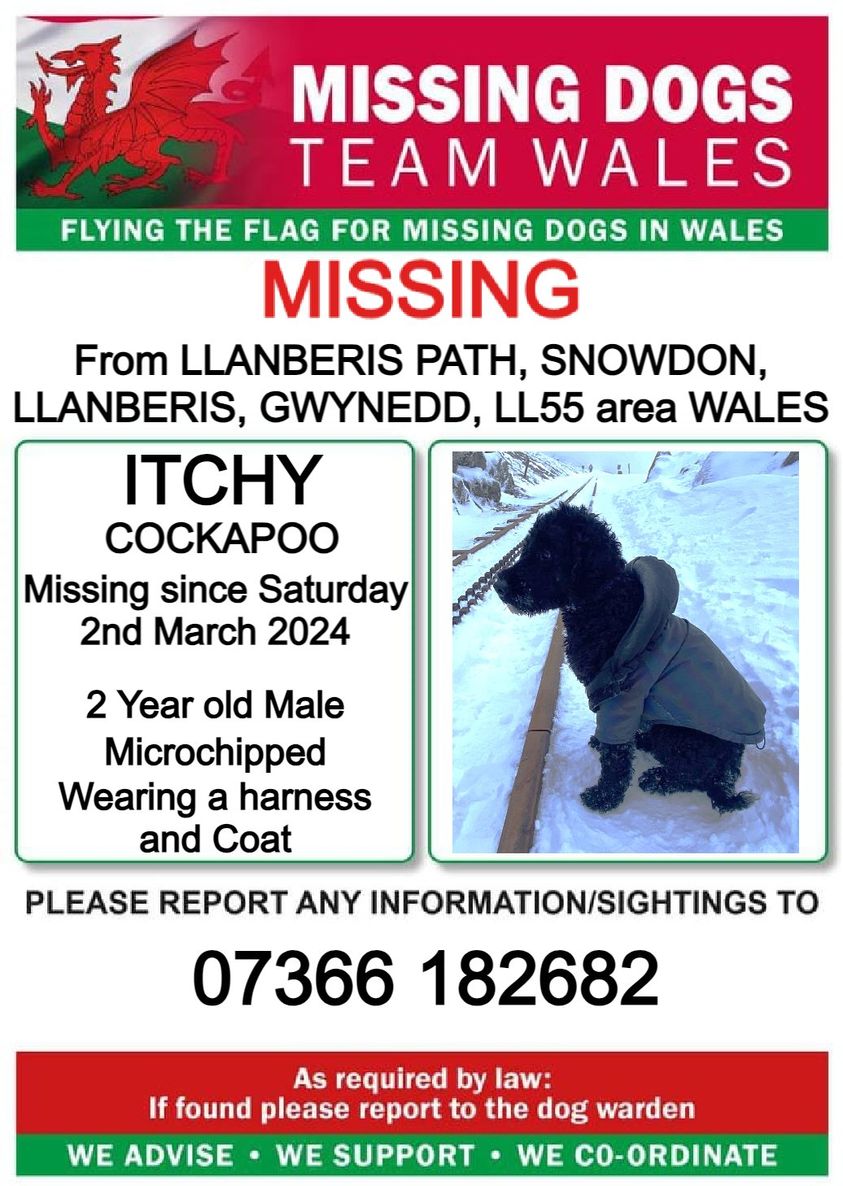 Hey @welshdroneman if you are about on Snowdon there is a missing dog, can you help? See attached poster. TIA