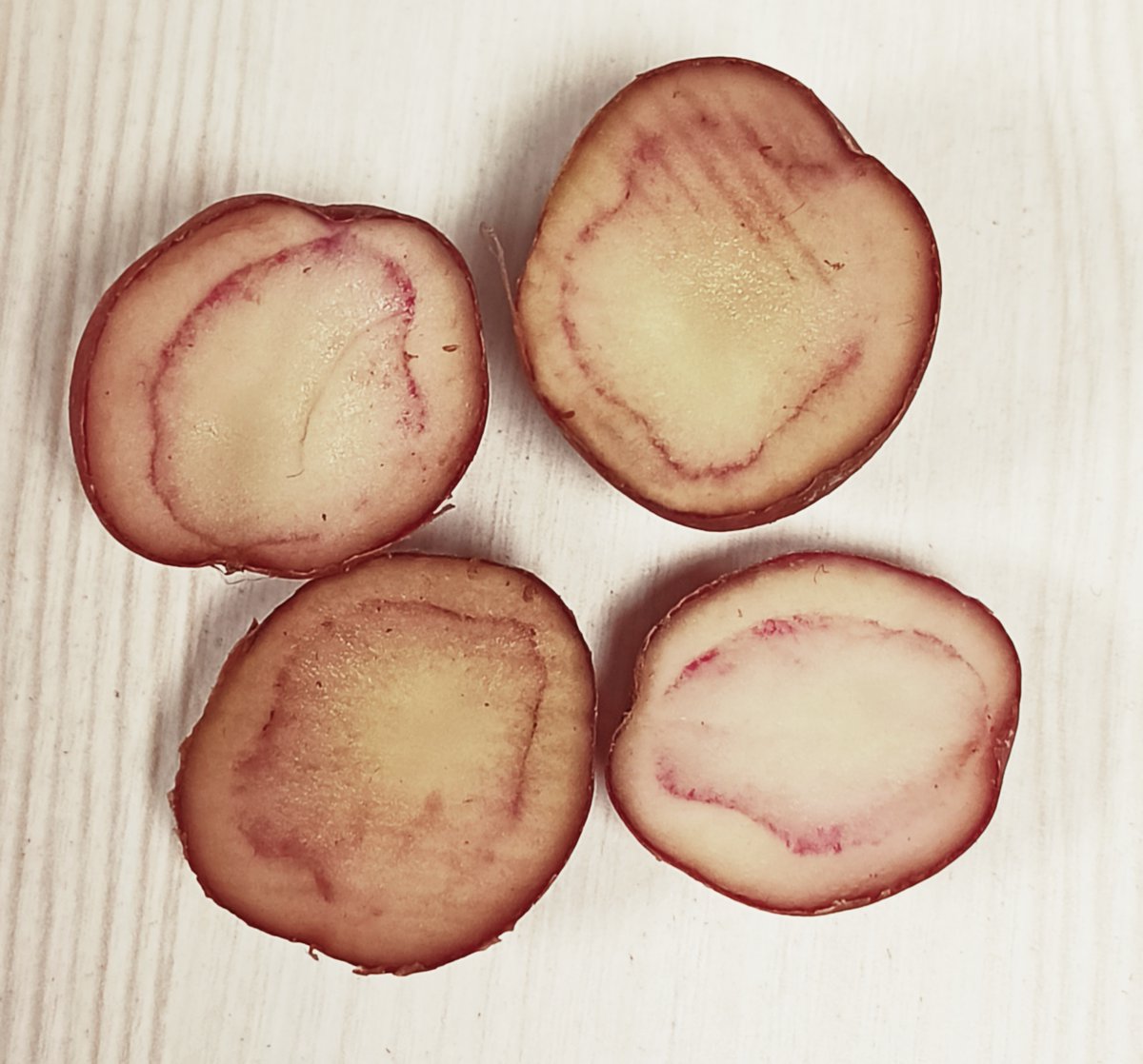 Petite & reddish on the outside, this is how these unique potatoes looks from inside. They are from Nawabganj, a small town in UP's Barabanki district. Tasty any which way you cook, more when shallow fried with the spice of your choice #NawabganjPotatoes @pra0902 @SushilAaron