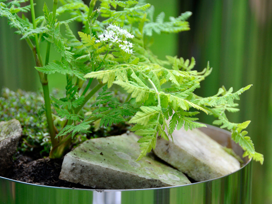 Tiny Taxonomy by Rosetta S. Elkin

Check out this survey: urbannext.net/tiny-taxonomy-…

#architecture #nature #biodiversity #sustainability