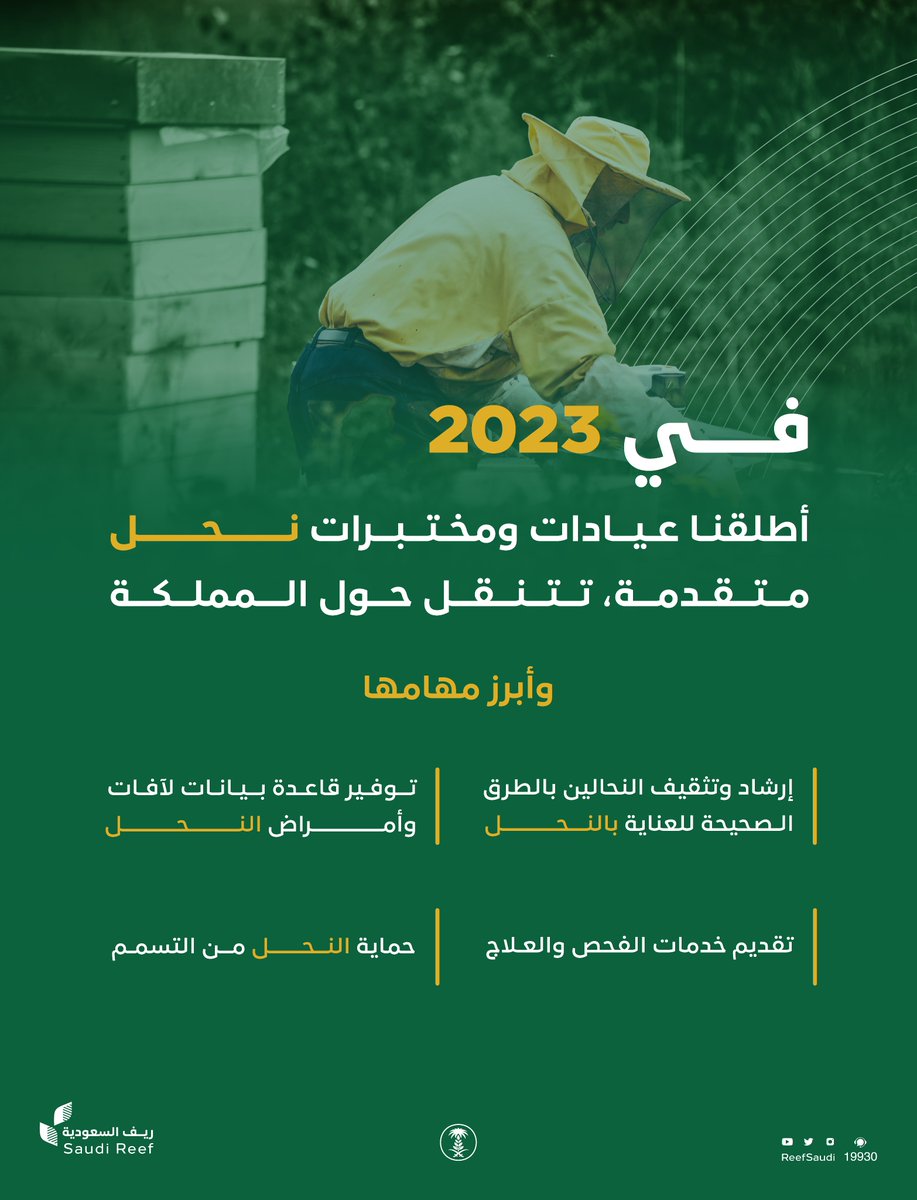 ريف السعودية tweet media