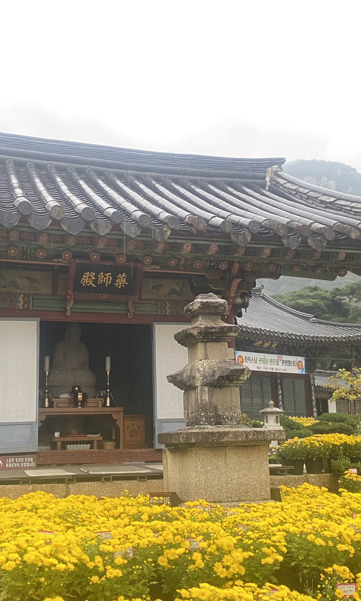 암자 tweet media