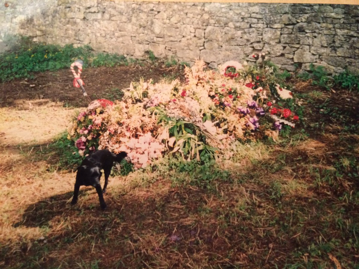 FrankBrett9's tweet photo. @sophiegrenham @DawnAddleyB My dog peeing on his fresh floral grave. https://t.co/WAarNq4yHX