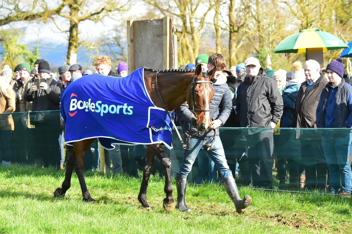 jhanlonracing's tweet image. 🚨 Hewick Gold Cup Update

Jordan Gainford will ride Hewick next week in the Gold Cup

@GainfordJordan | @CheltenhamRaces