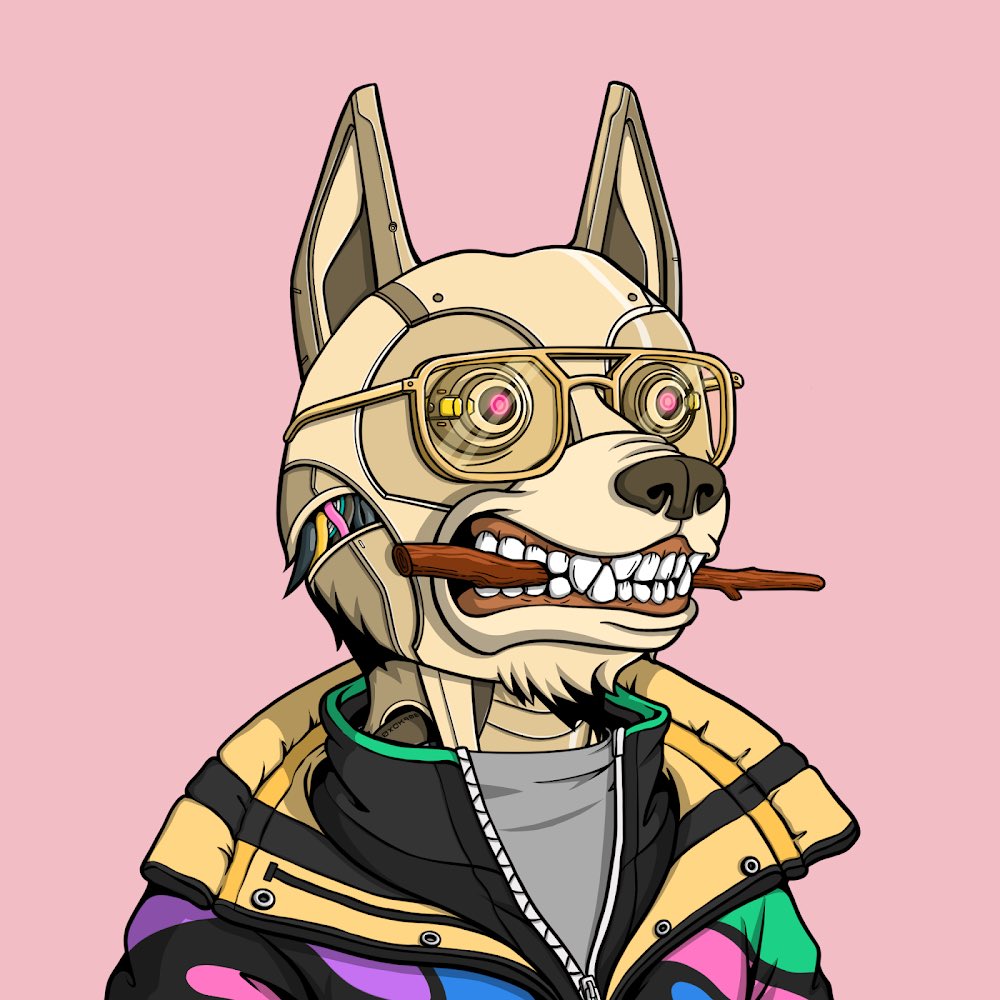 Junior ᛤ tweet media