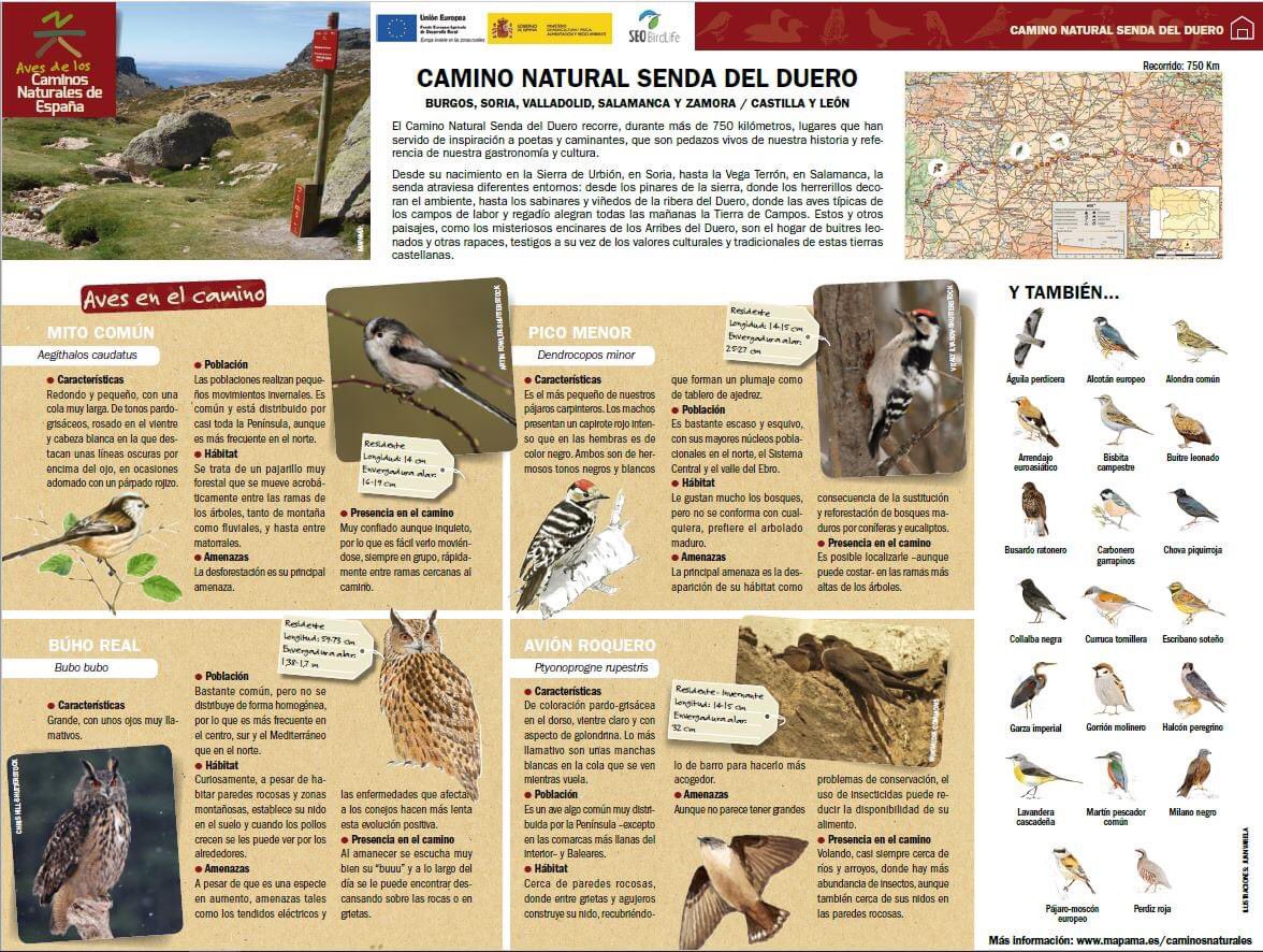 ¿Conoces el CAMINO NATURAL SENDA DEL DUERO a su paso por #Tordesillas?Ornitología🔭y #turismo 🥾 de la mano en #caminosnaturales y en nuestro Camino Natural Senda del Duero. Estos caminos te permiten llegar a enclaves naturales #refugio o lugar de paso por multitud de aves.🦆🦅