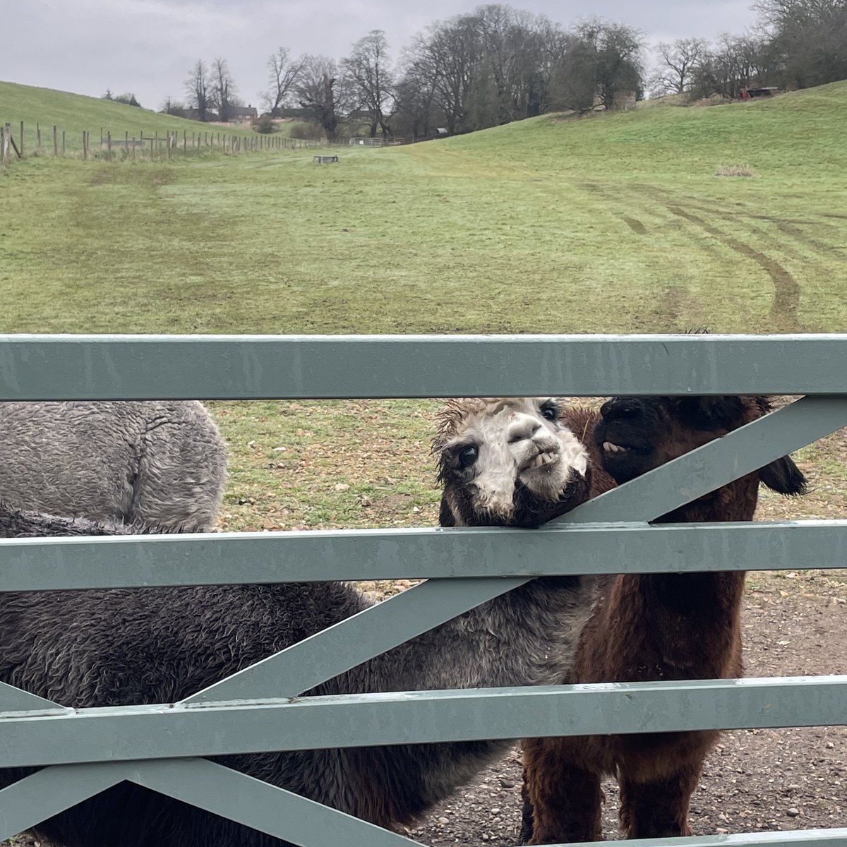 A big shout out to the Plend team and all those who made our trip to the farm a truly memorable one! 

BIG plans incoming! 🚀