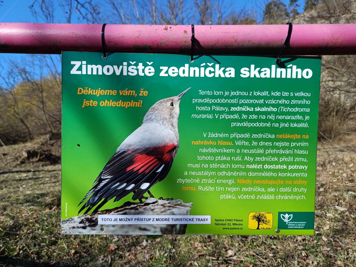 Jan Rod official tweet media