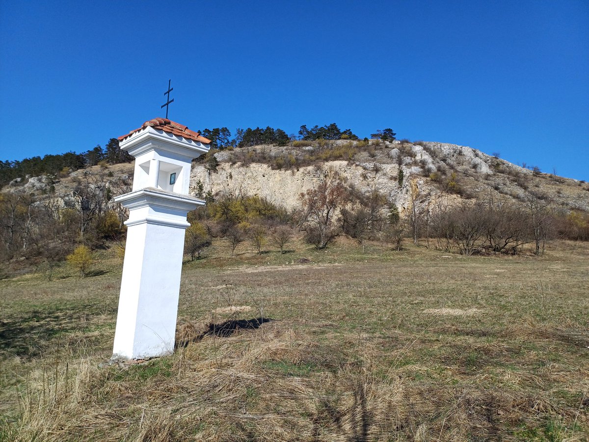 Jan Rod official tweet media