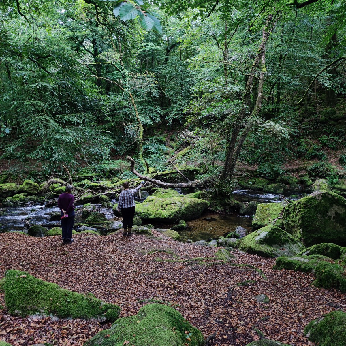 RADIA radio today 2pm, Sheela-Na-Gig by Carine Demange (@radiocampusbxl) an improvised and multiplied encounter on the banks of the Meavy river. #Dartmoor Tune in locally on 102.5 FM or soundartradio.org/listen radia.fm/2024/03/show-9…