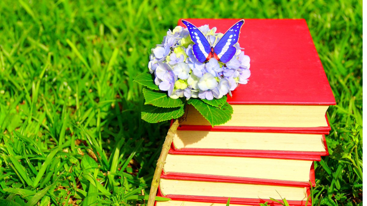 🌏     Empowering our #future with environmental #education: knowledge is our greatest tool in the quest for a greener Earth and a more desirable tomorrow🌿
