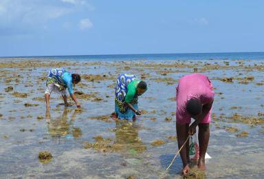#SST 📢Call for papers - special section on Cultural Heritage, Territory and Climate Resilience in small island states &amp; territories to appear in the May 2025 edition Vol 8(1)
#climatechange

Send your abstracts by: 15 MAR 24
👉🏽um.edu.mt/l/c3Yun
<a href="/stefanomoncada/">Stefano Moncada</a>
<a href="/pedro_pombo/">Pedro Pombo</a>