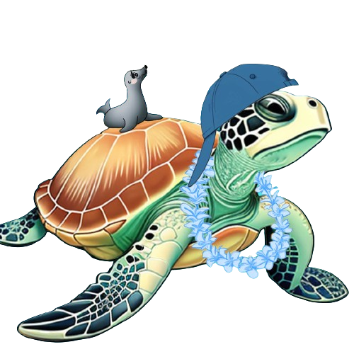 TurtleyNFT's tweet photo. Tried breakdancing today... ended up looking more like a flipped pancake than a spinning top. ๐ข #TurtleFail #TuesdayFun https://t.co/QLjY48DXeq